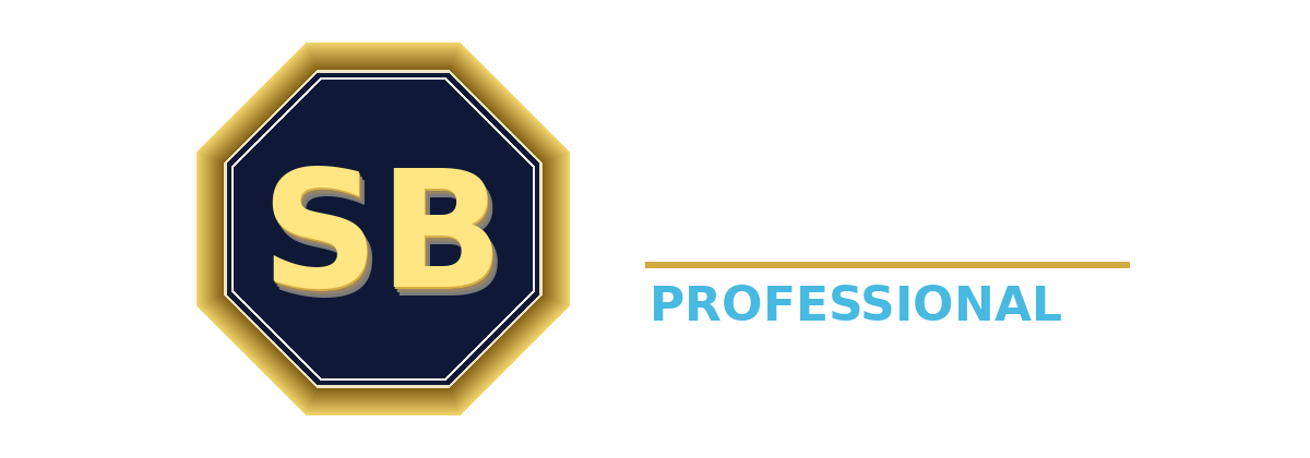StoryBit Professional